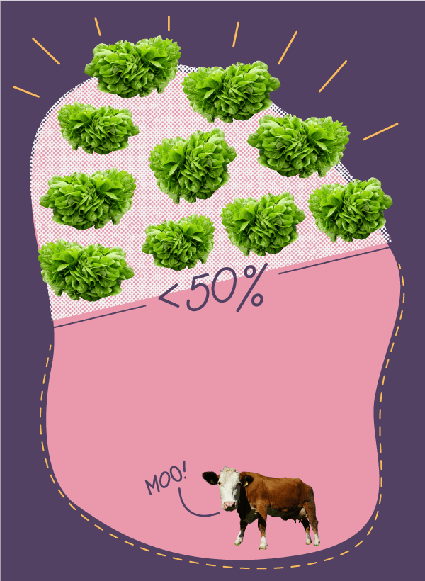<p>50 % weniger landwirtschaftlicher Flächenbedarf</p>