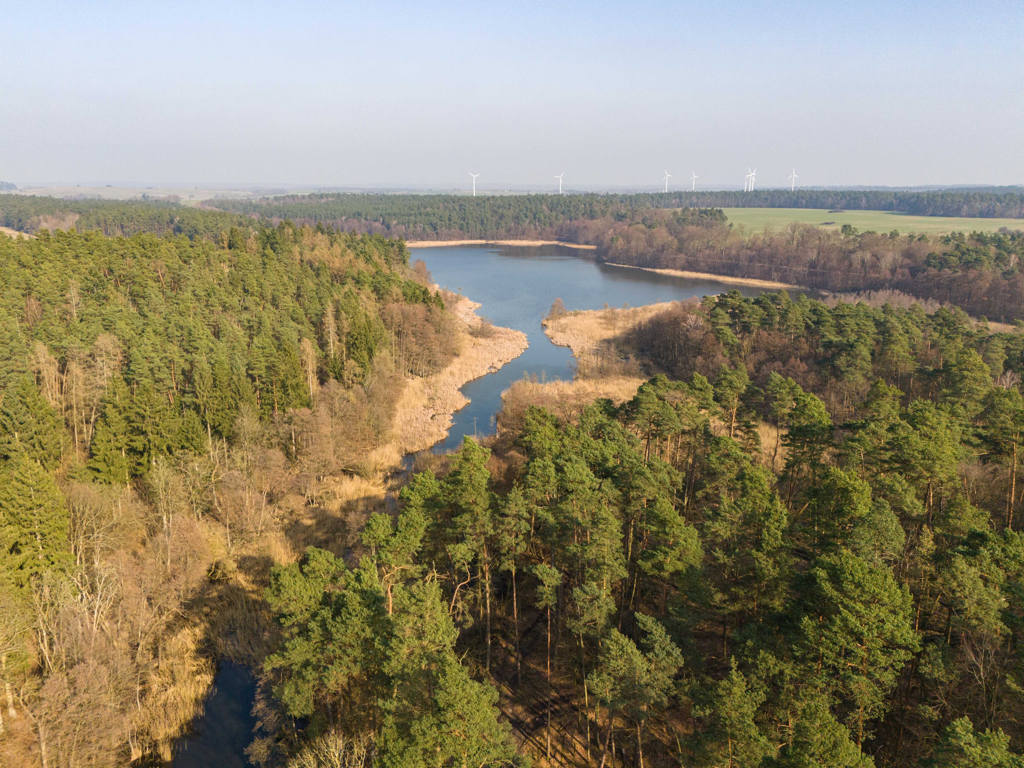 Zur Seite Wälder schützen in Deutschland und Malawi gehen