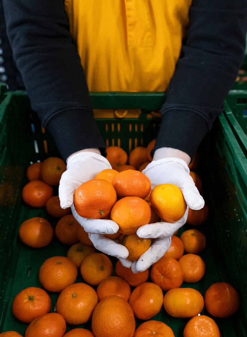 Geringere Lebensmittelspenden bei zunehmender Anfrage
