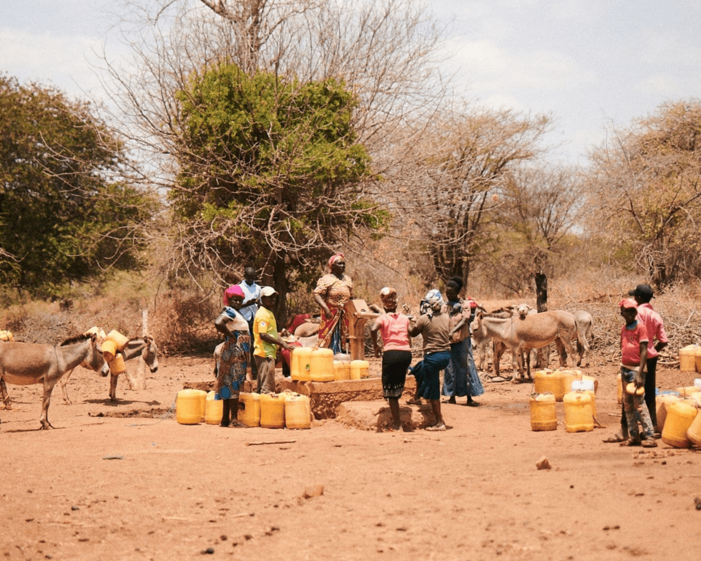 Zur Seite Sauberes Wasser für Madagaskar und Bangladesch gehen