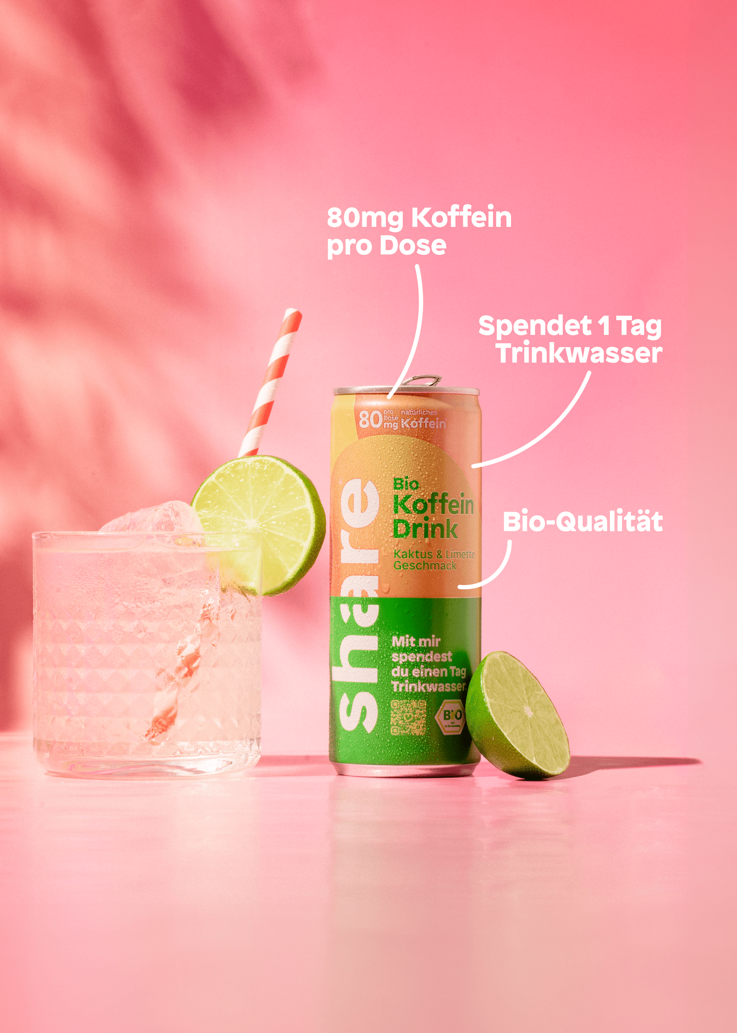 share Favoriten Probierpaket