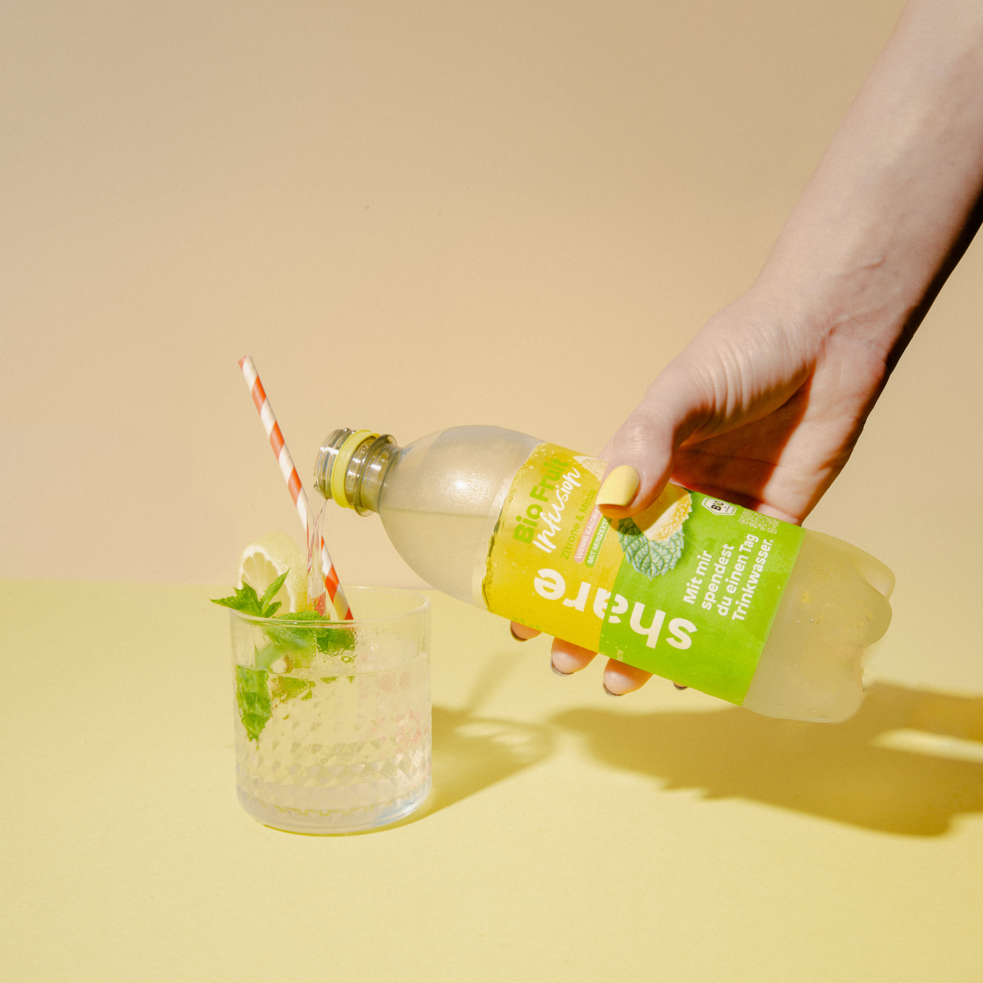 Bio Fruit Infusion Zitrone Minze