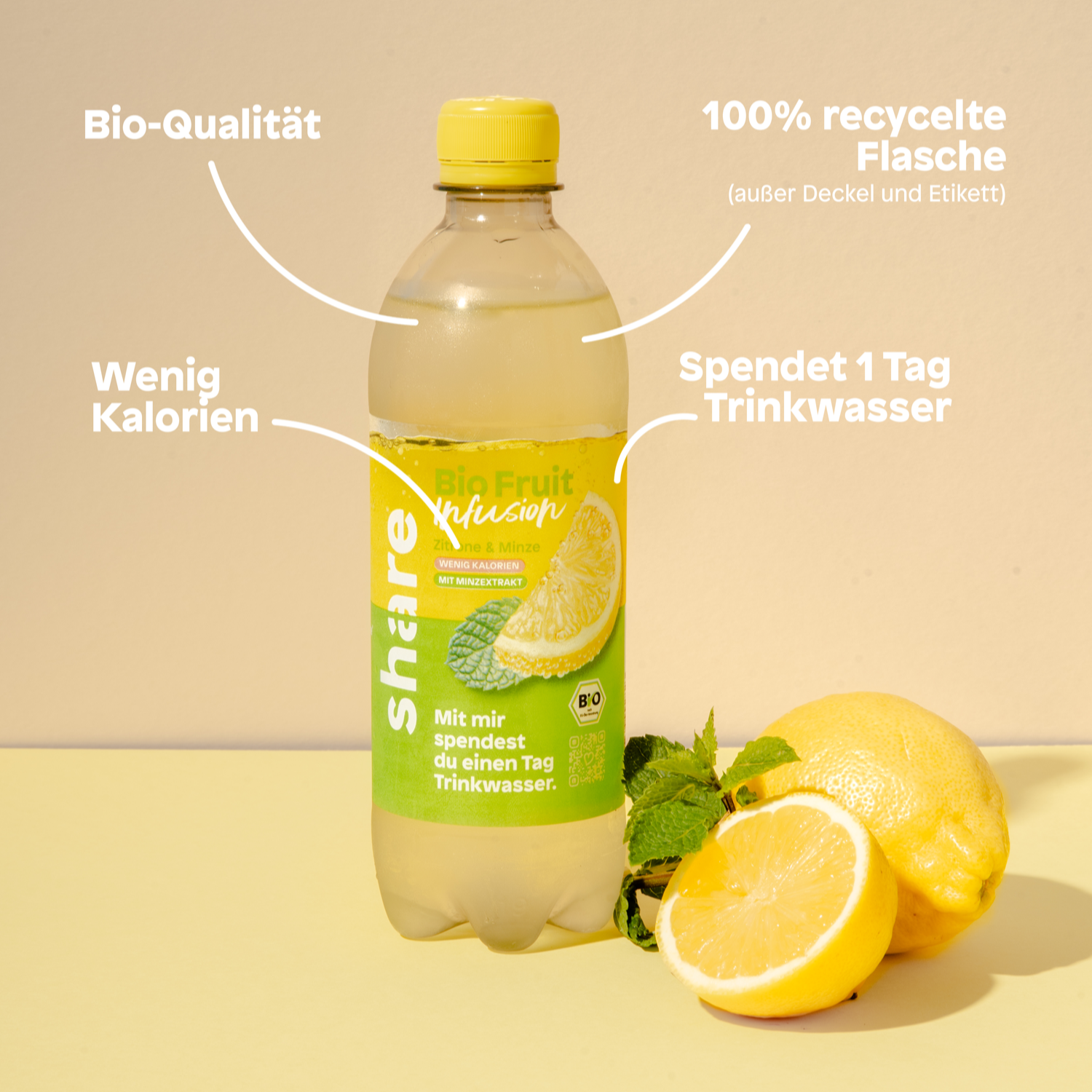 Bio Fruit Infusion Zitrone Minze