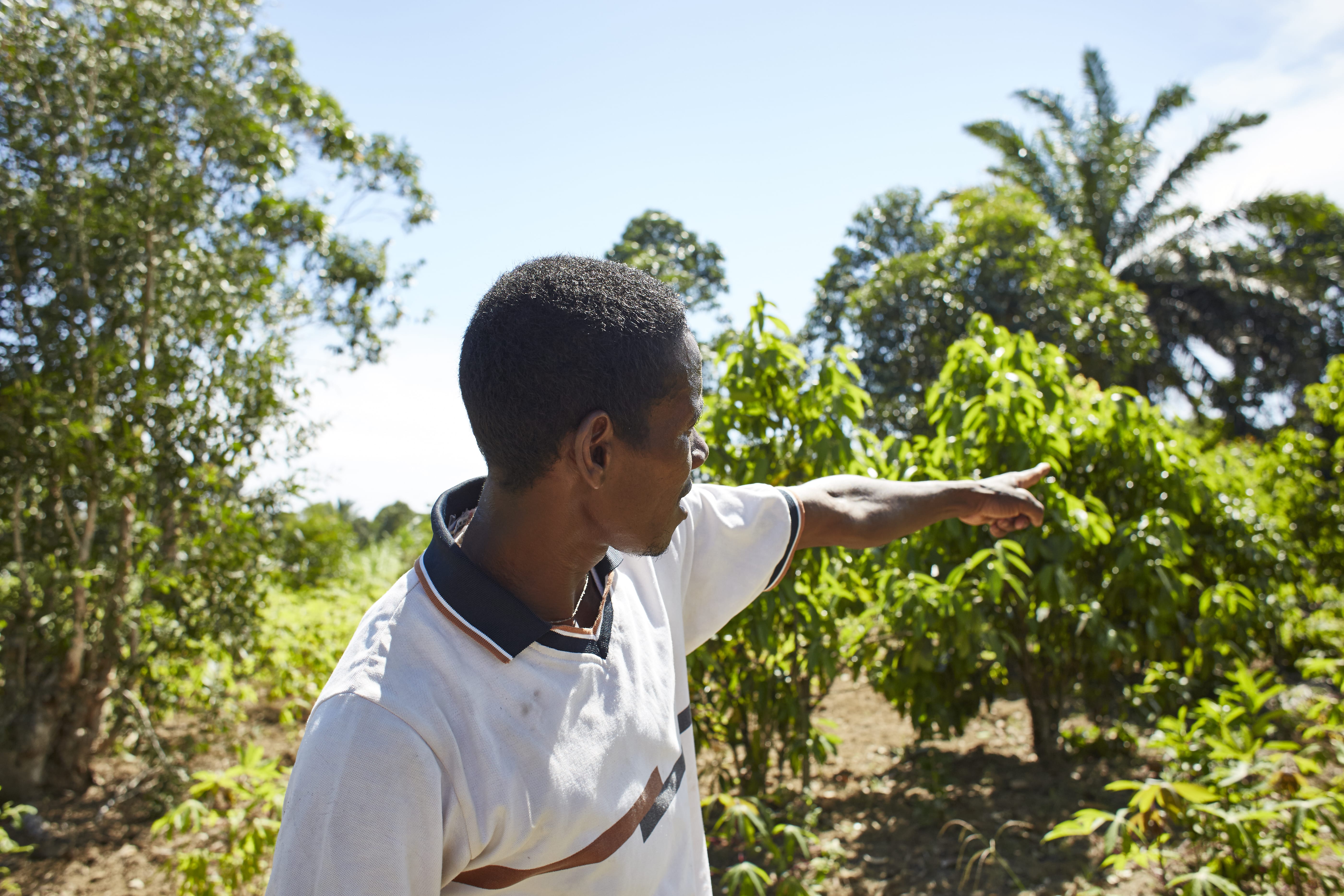 Navigate to page Protecting forests in Germany and Liberia