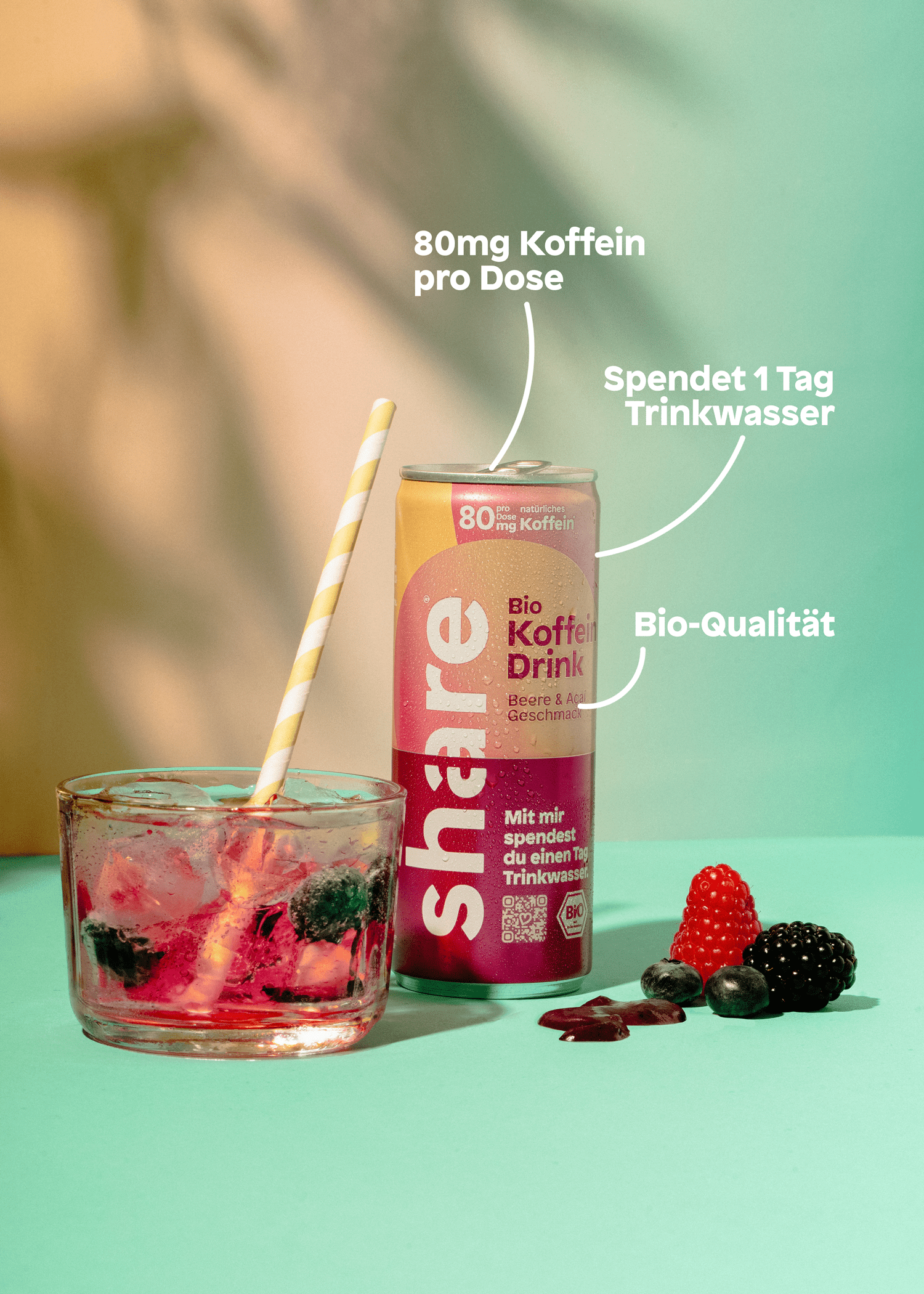 share Favoriten Probierpaket